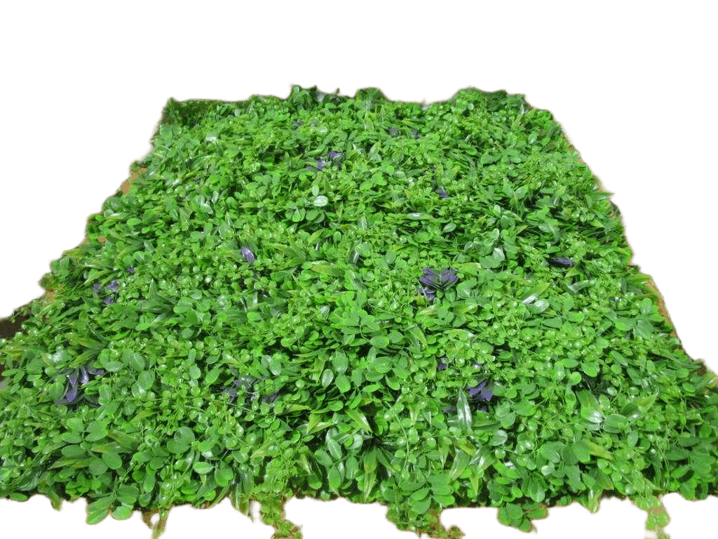 Artificial Landscape Leaves, Uv Protect, Mix Leef
