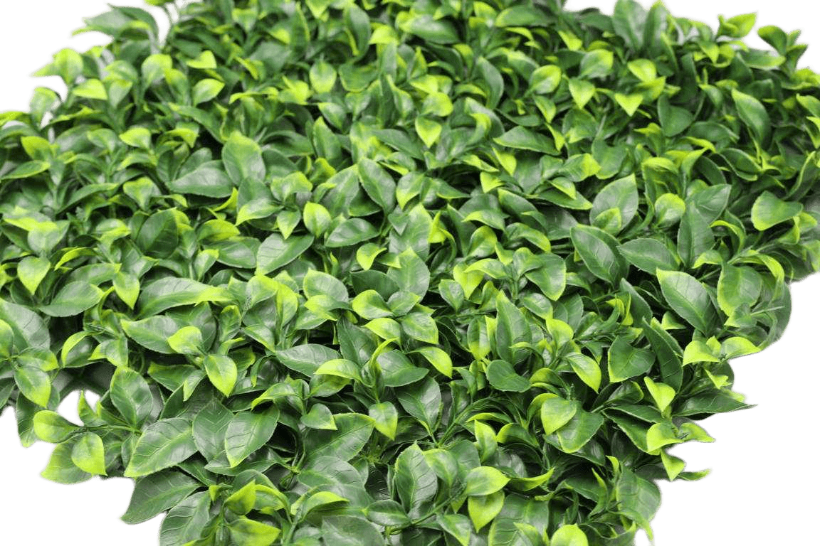 Leaves Landscape Uv Protect Medium Leef
