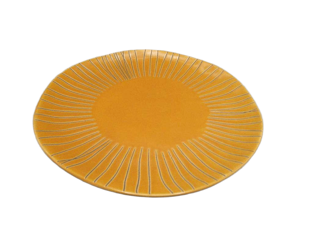 Plate Dinner Irregular Shape 27cm Pizzara Shape