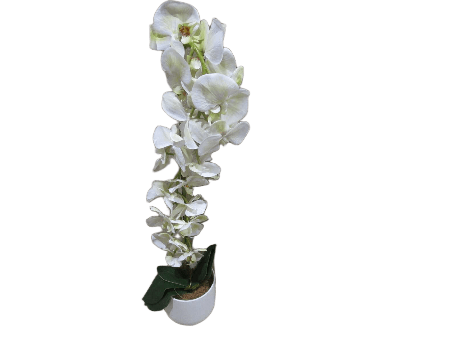 Artificial Orchid In Ceramic Pot