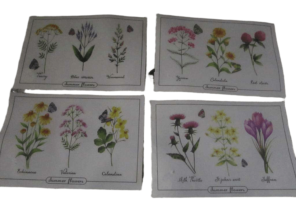 Placemat 45x30cm 3ass Designs