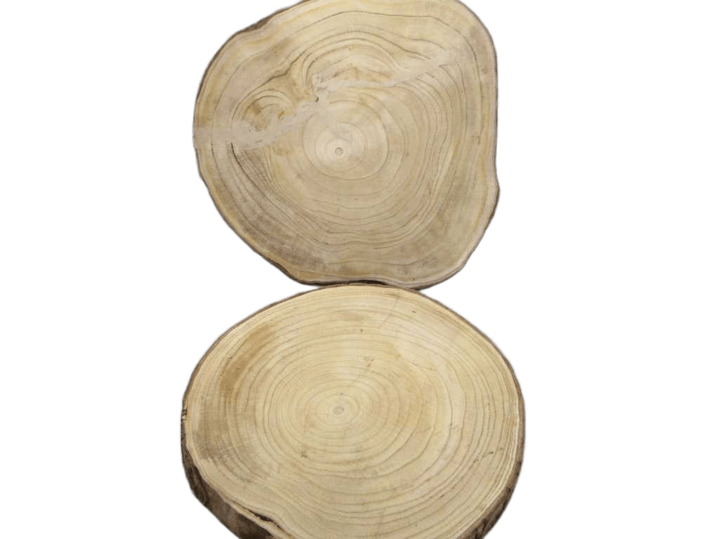 Wooden Slice With Bark 50cm