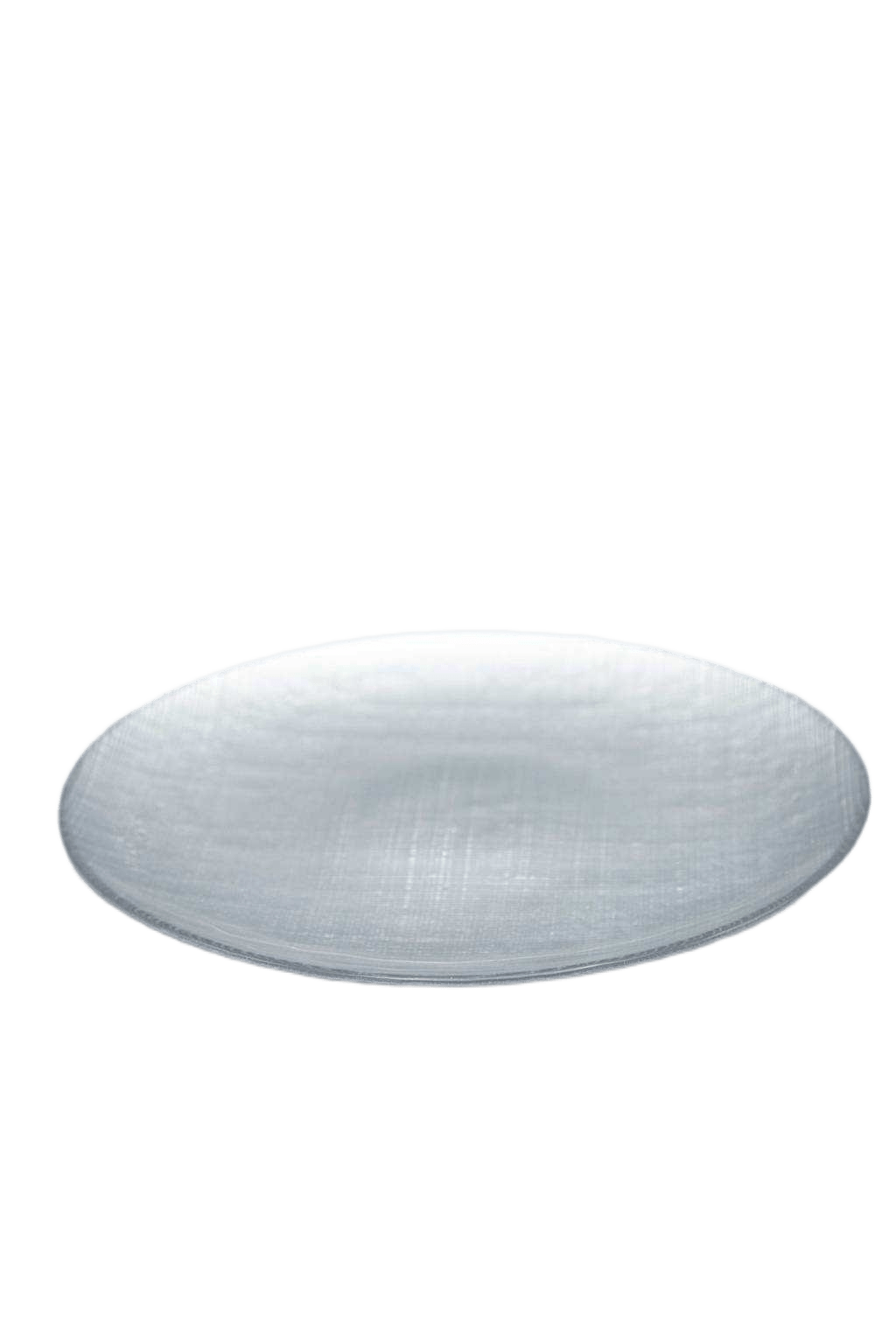 Plate Dinner Dia 21 Silver