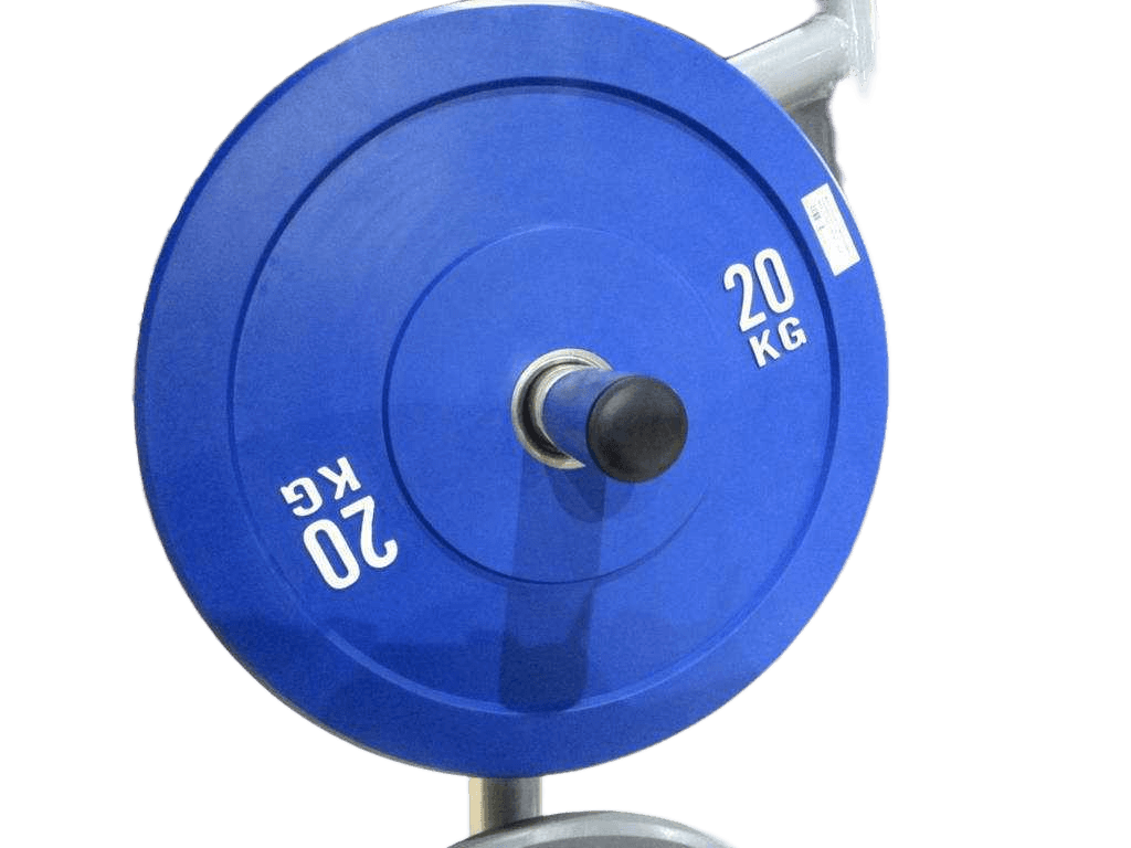 Plate Multi-Color Olympic Rubber