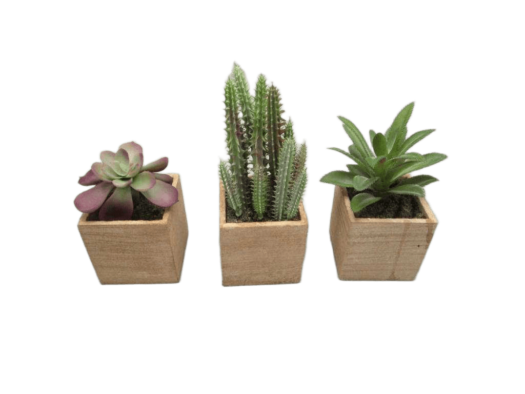 Artificial Cuctus In Paper Pot X M