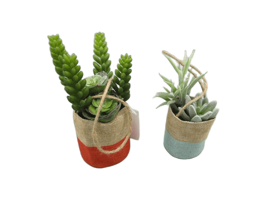 Artificial Ass 2 Mixed Succulent Lotus In Fabric Bag H15.24cm