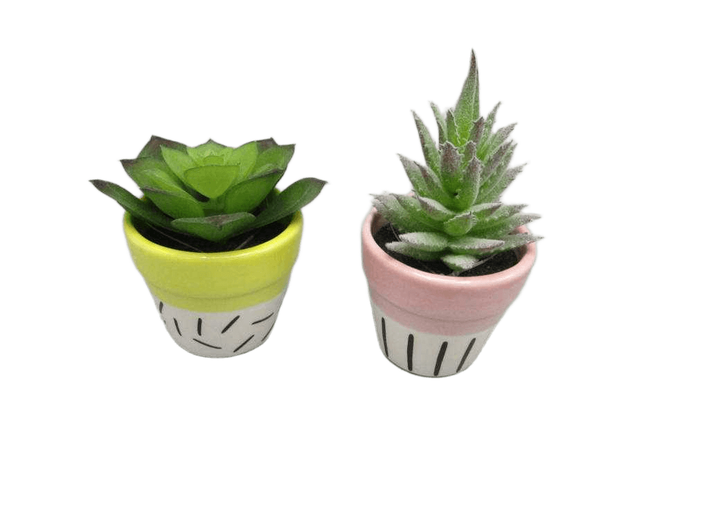 Artificial Ass 2 Succulent In Ceramic Pot