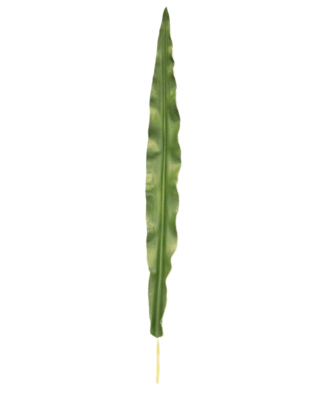 Artificial Flower Phragmites Leeves Green 45 Cm