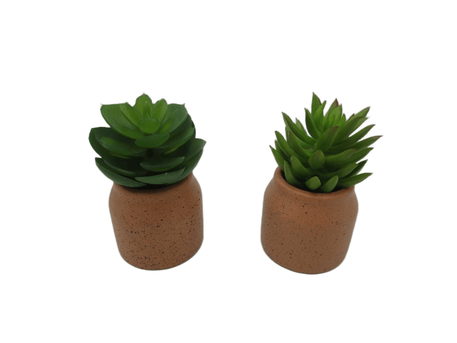 Artificial Succulent In Clay Pot