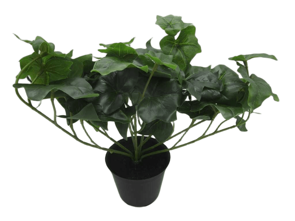 Artificial H23cm Real Touch Green Parthenocissus In Plastic Pot(Pot Size:d9 X H7.5cm)