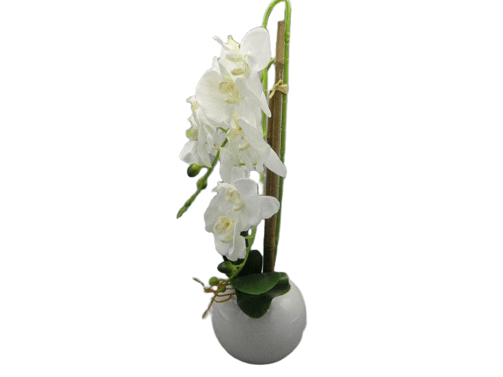 Artificial Potted Orchid, 2branches Orchid Whit