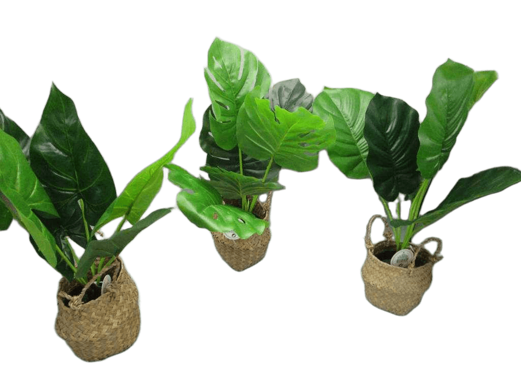 Artificial Plant In Basket 46cm 3ass 1cl=