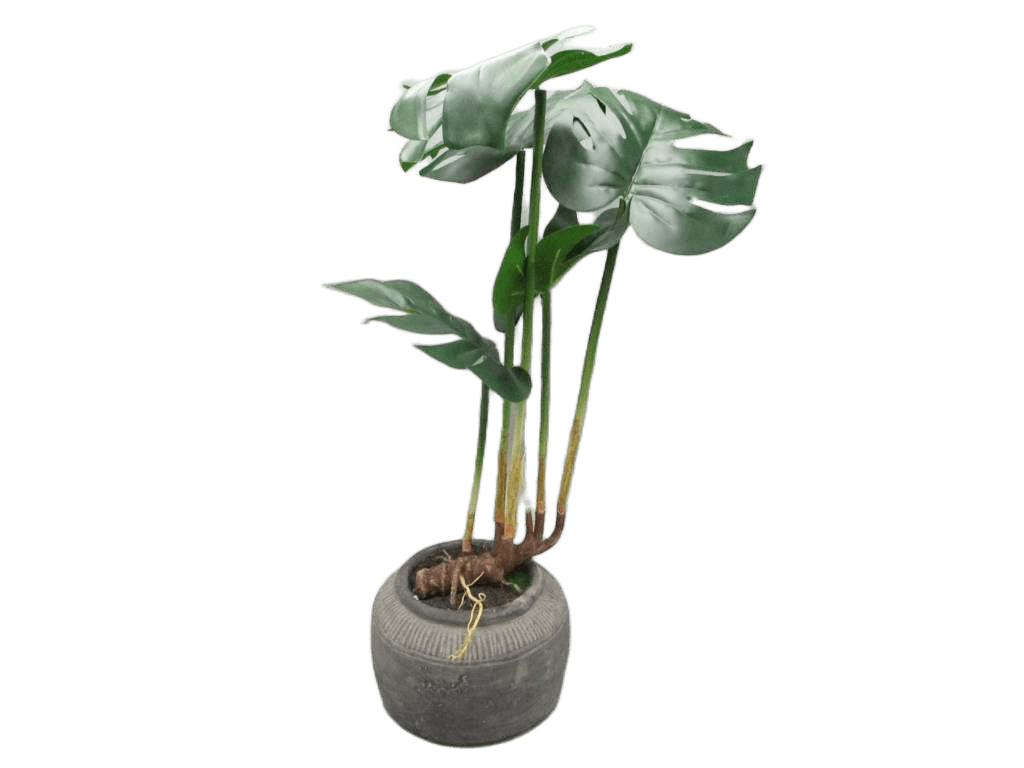 Artificial Monstera In Pot