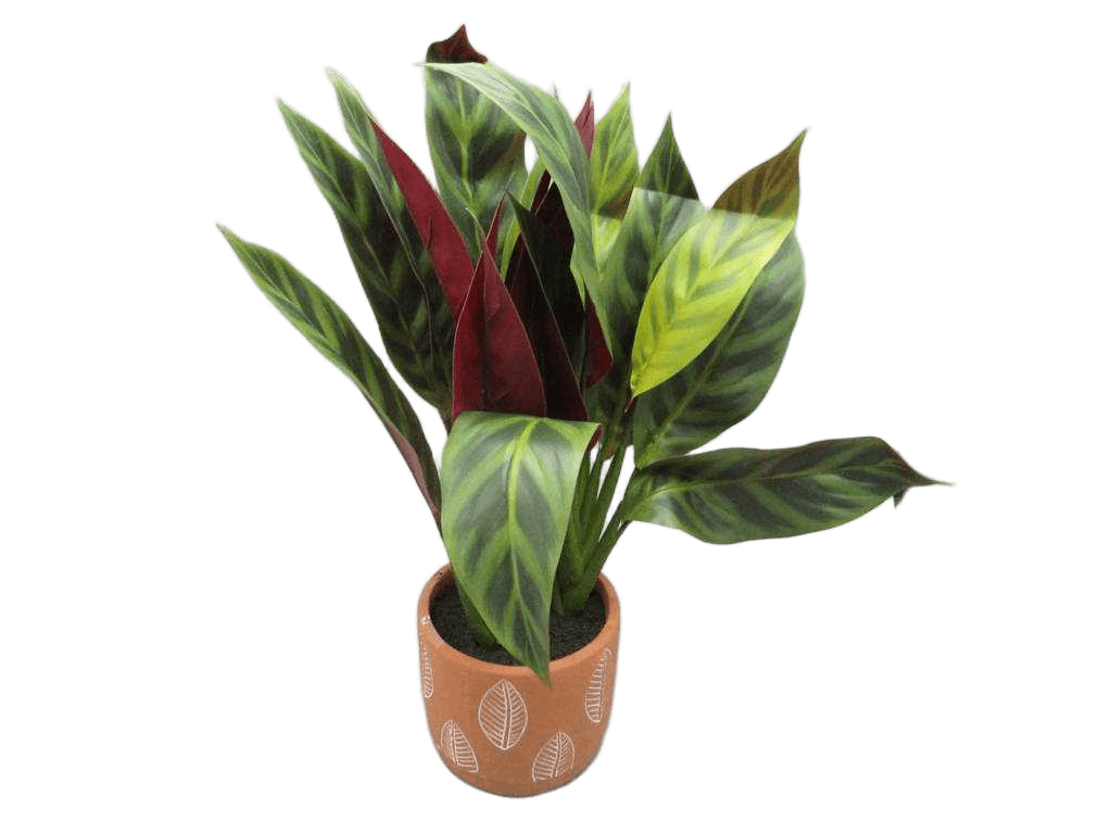 Artificial 40cm Real Touch Maranta X 19 Lvs In Terracotta Pot(Pot:d12 X H10.3cm)