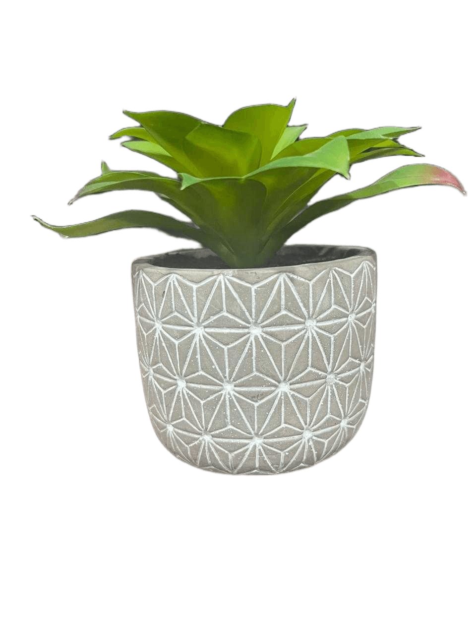 Artificial Potted Succulent