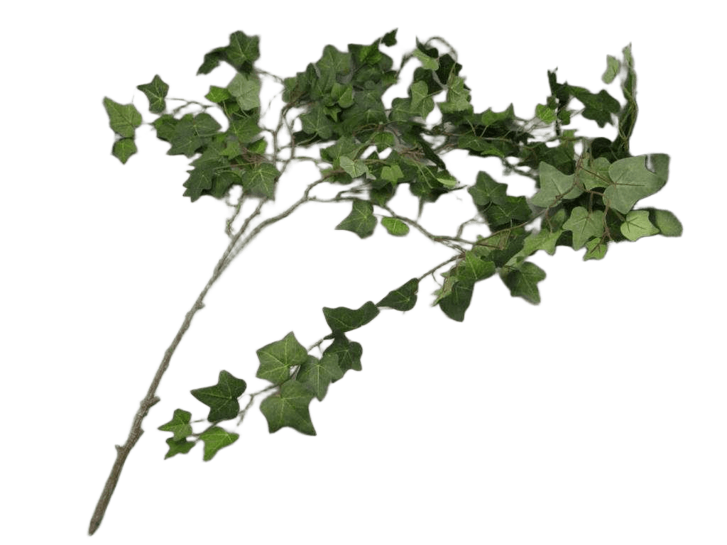 Artificial 168cm Ivy Ivne X 6