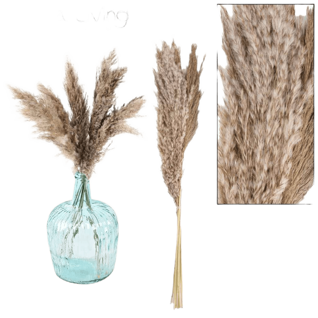 Artificial Natural Living - Natural Pampa X6pcs H75cm