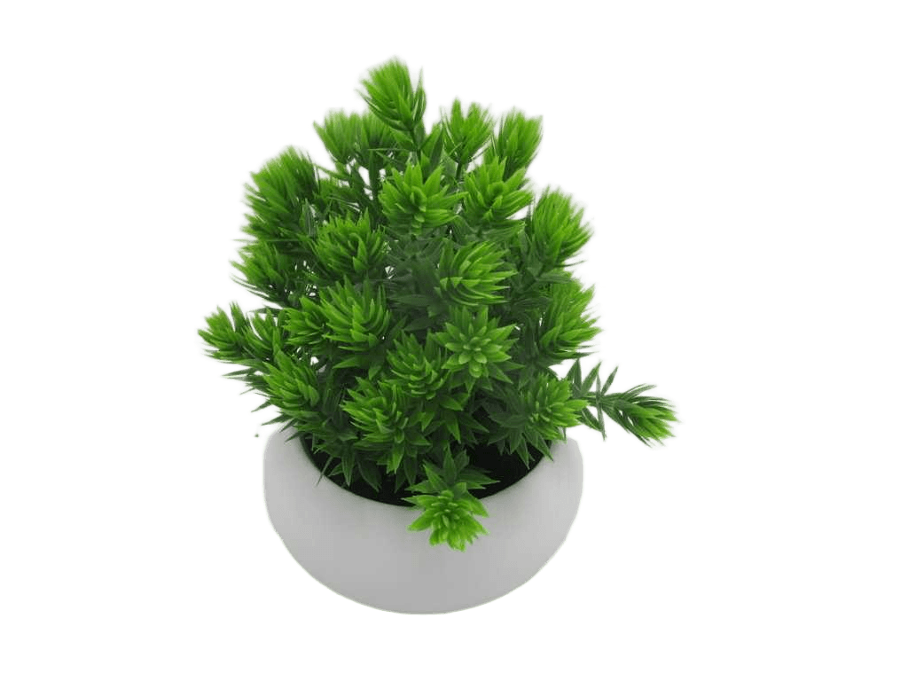 Artificial Plant 19cm Pinecone Grass In White Pottery Pot(Pot Size:d13.5 X H6cm)