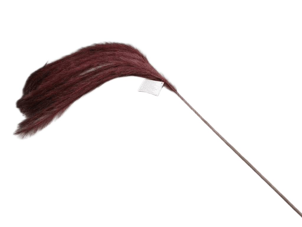 Feathers On Stem 130cm 1cl=