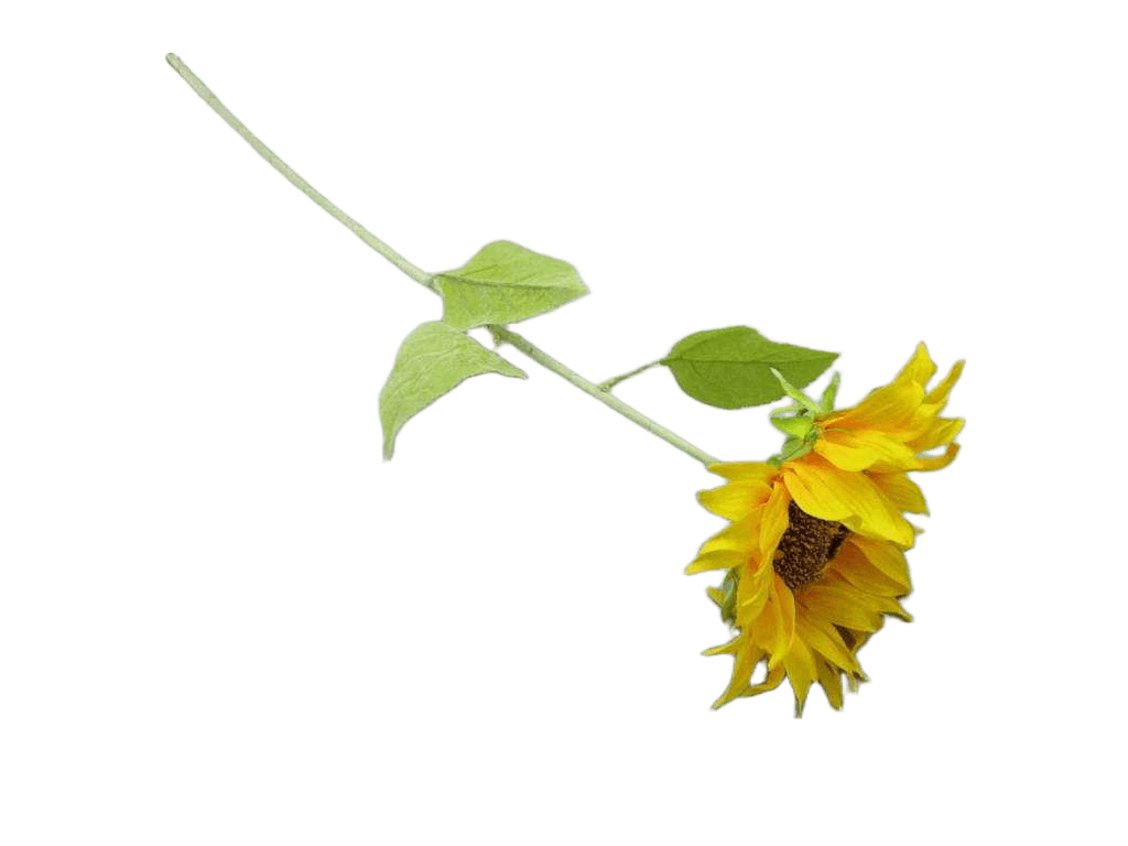 Artificial Flower Single Sunflower