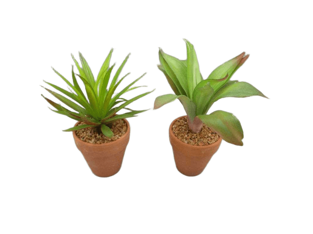 Artificial Succulent In Ceramic Pot