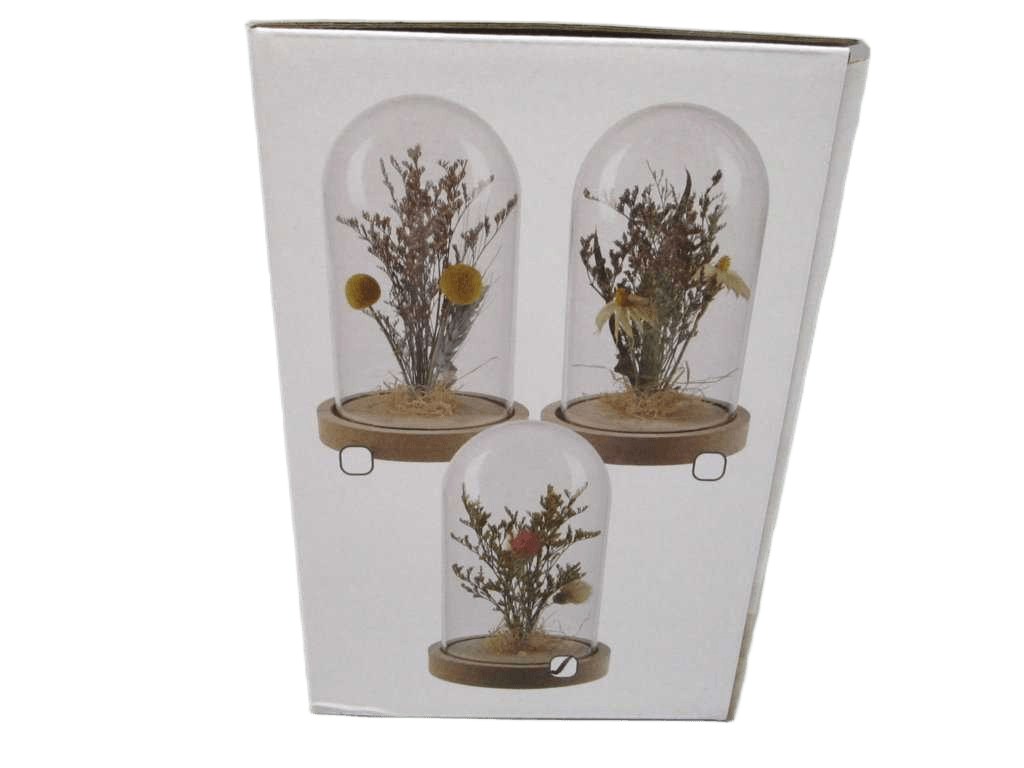 Flower In Glass Dome 3ass