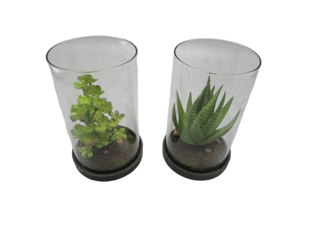 Artificial 9x10x15cm, Succulent In Glass Pot