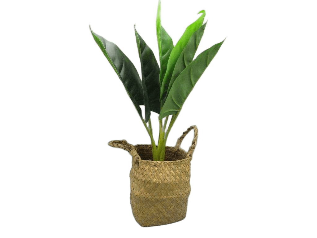 Artificial 50cm Real Tuoch Calla Lily Tree X 6 Lvs,in Plastic Pot With Straw Basket(Pot Size:d12.5xh11.5cm,basket Size:d14x17xh16.5cm)