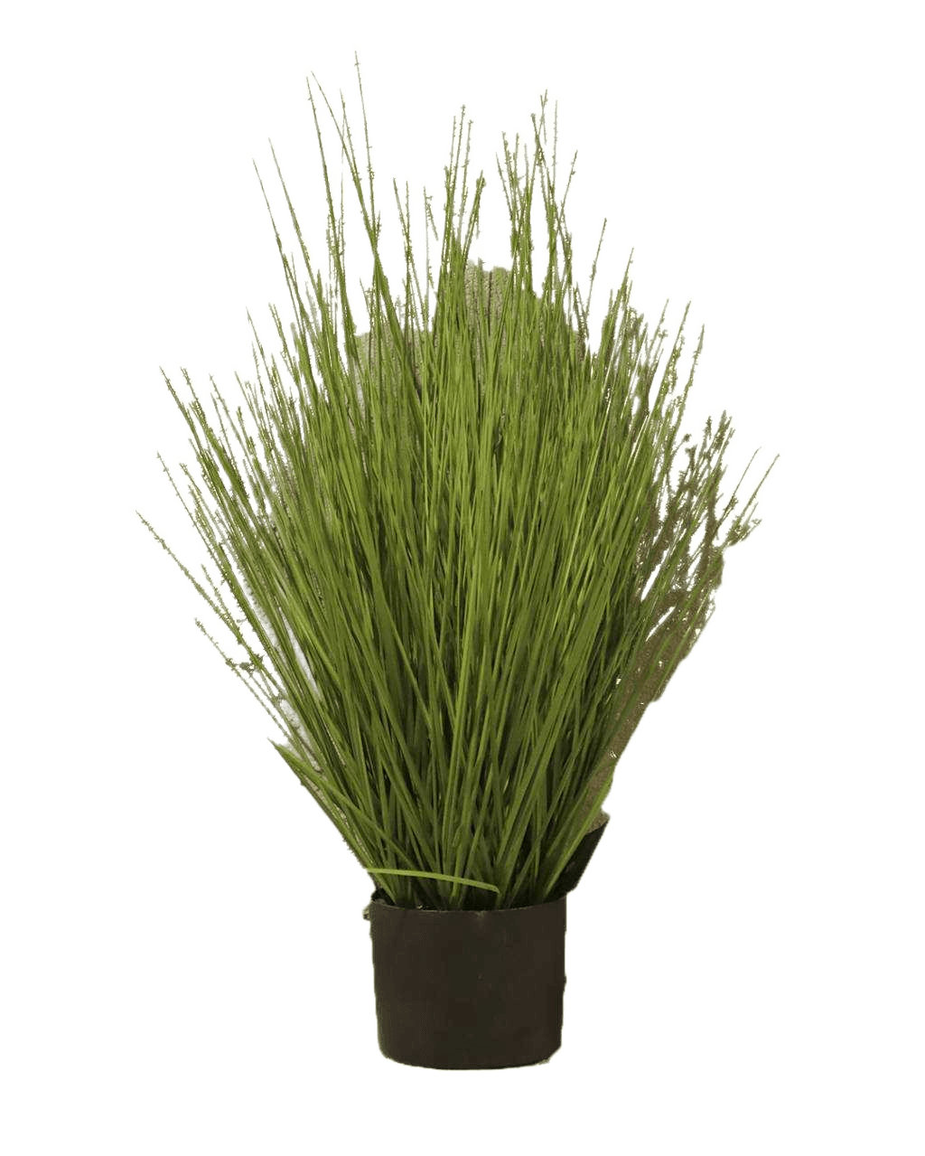 Artificial Grass Bunch W Plastic Pot H74