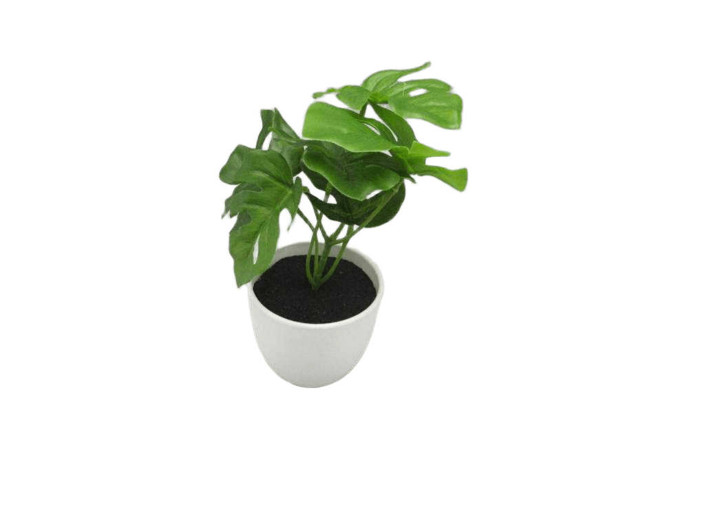 Artificial Flower Monstera * 6lvs, In Plastic Pot(Pot:d7 X H6.3cm)