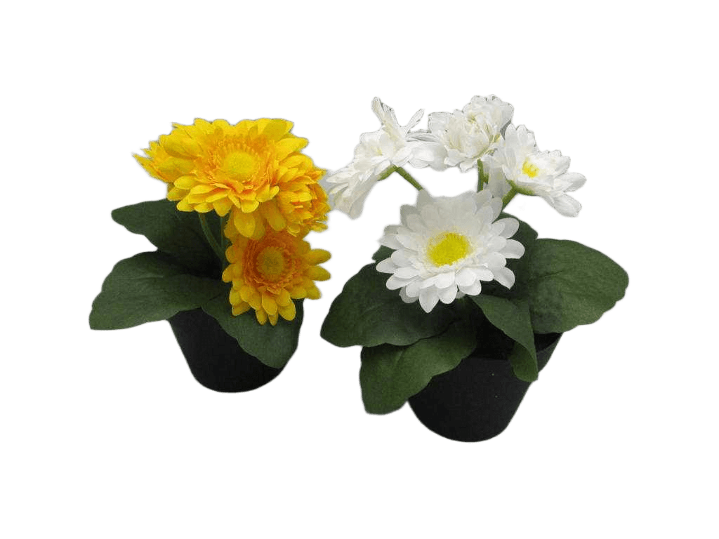 Artificial Gerbera X 5 In Pot