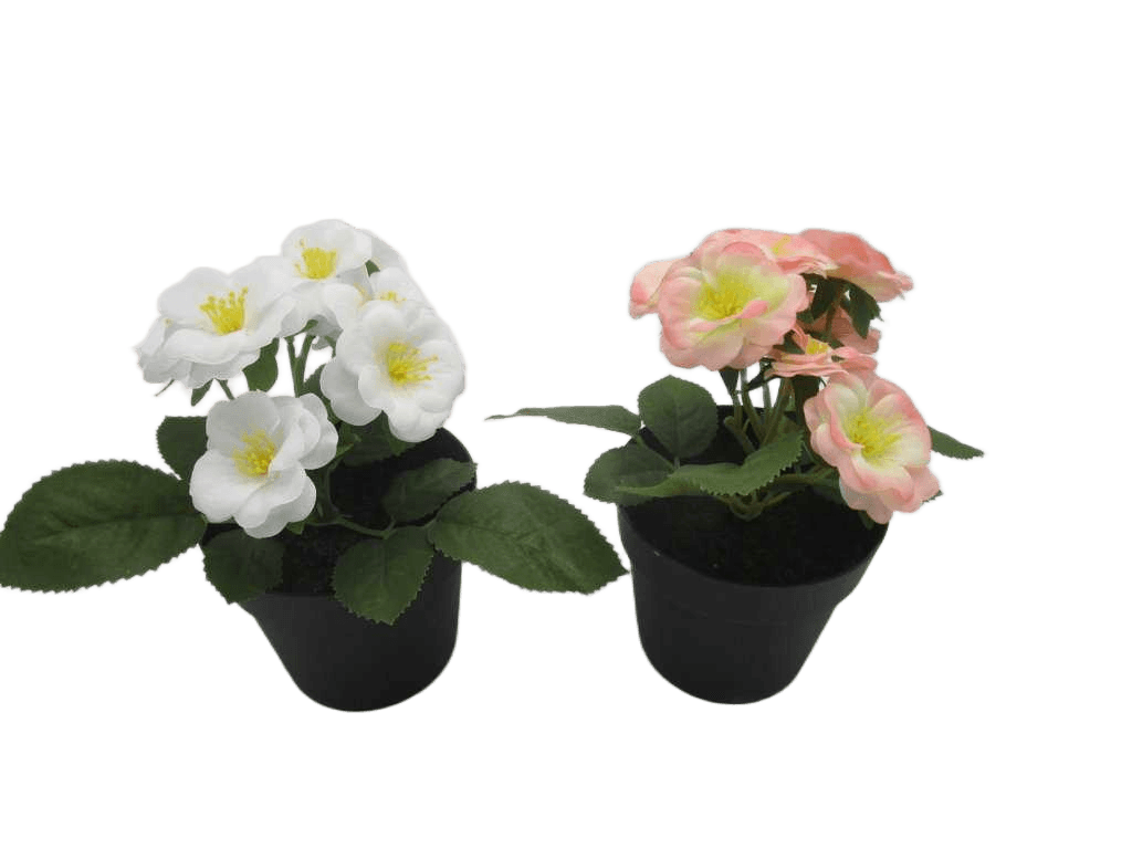 Artificial Rose Chai X 8 In Pot
