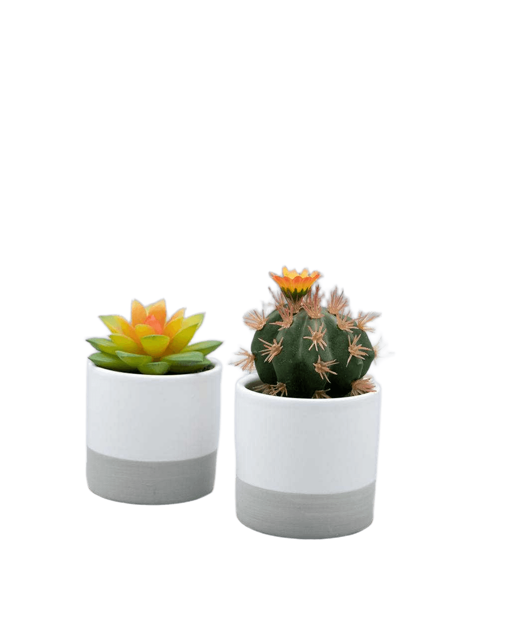 Artificial Succulents In Ceramic Pot H125 Xw 65(Cm) 125