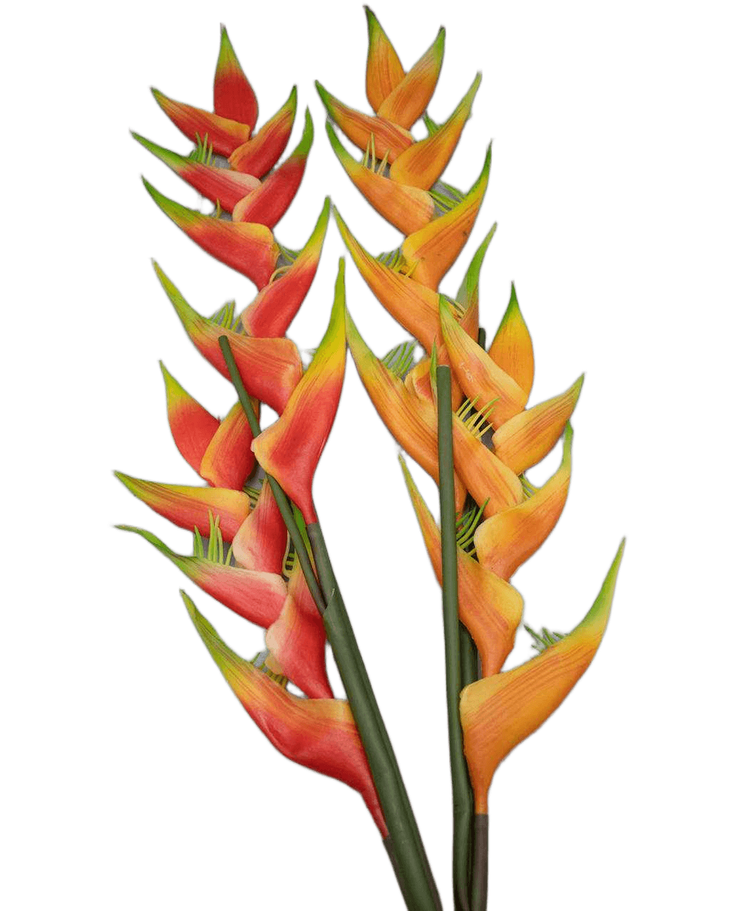Artificial Fire Phoenix X 16 Flowers Ass 2 Colors Orange And Red 95 Cm