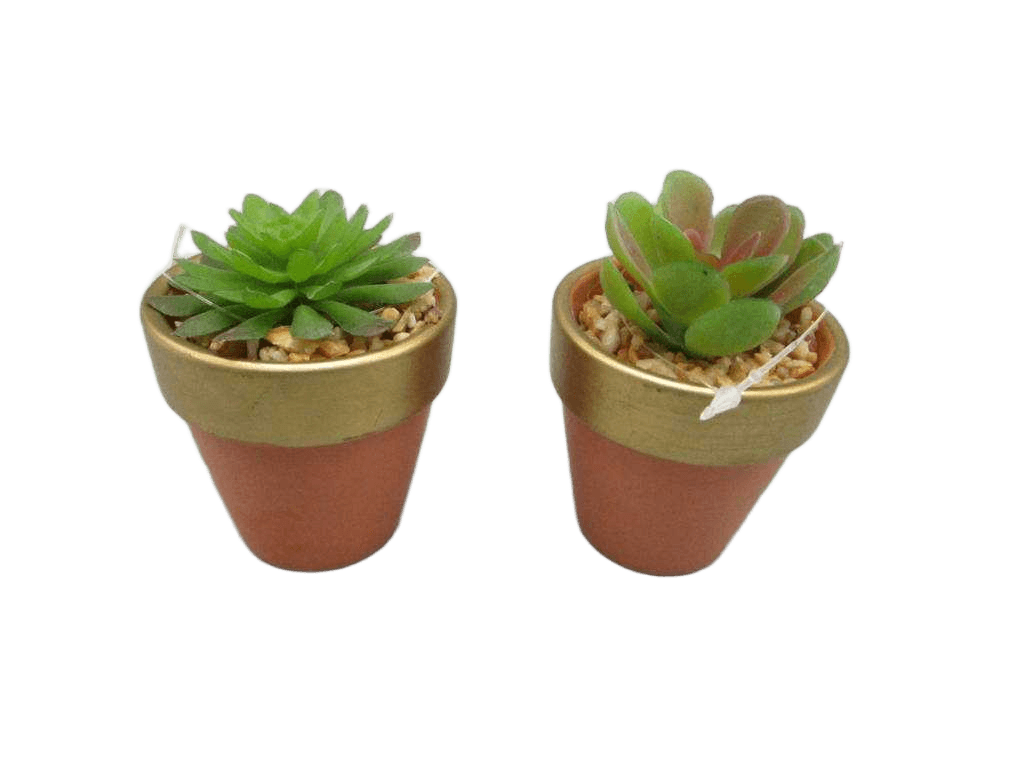 Artificial Ass 2 Succulent Lotus In Clay Pot H8.26cm