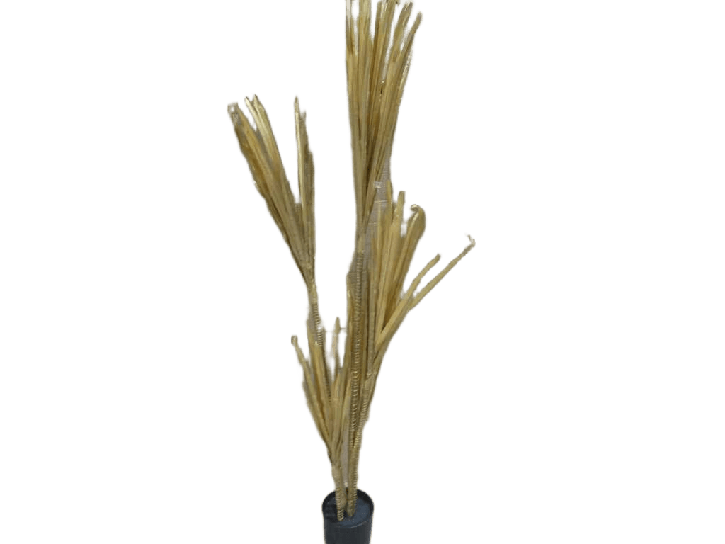Artificial 160cm Real Touch Golden Yucca Tree In Plastic Pot(Pot Size:d17 X H14.5cm)
