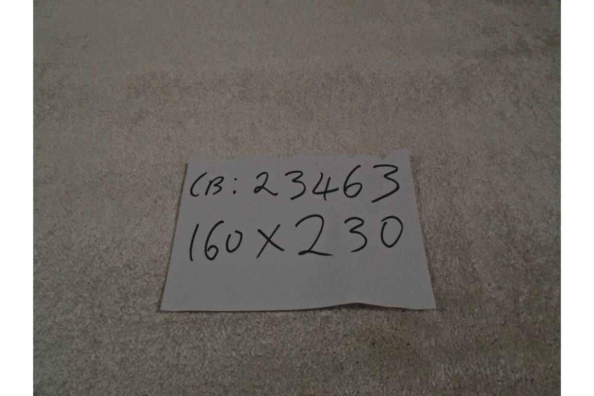 Carpet Wish Cream White