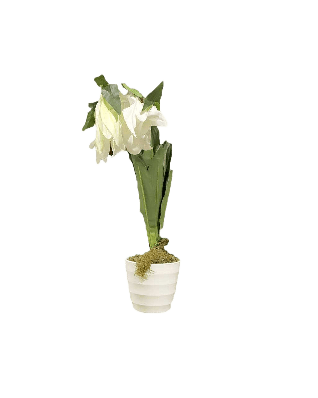 Flower W Pot