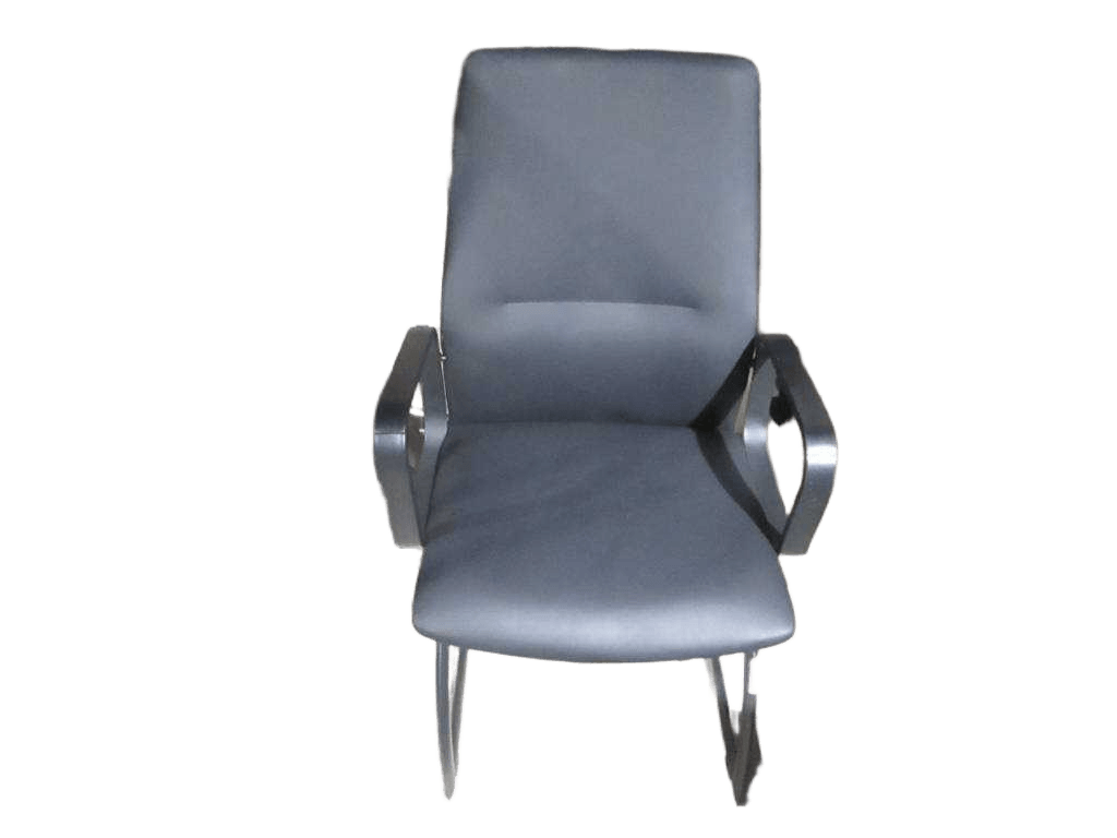 Visitor Chair, Pu Iron Base, Powder Coating 169 Black 169 Black