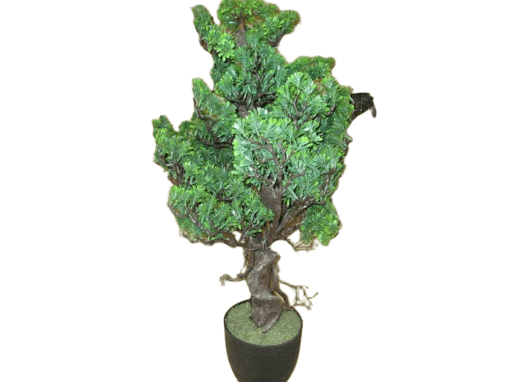 Artificial 85cm Podocarpus Bonsai