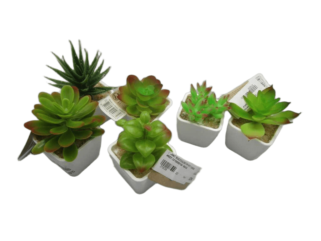 Artificial Plant Succulent Pp Pot 12ass
