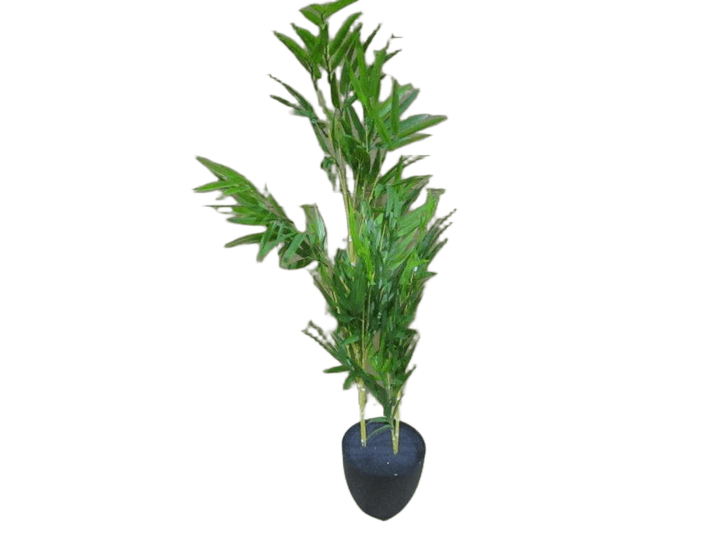 Artificial Plant H80cm Plastic Bamboo Tree, In Pot