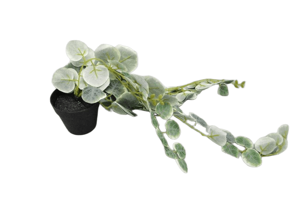 Artificial Plant 63cm Ceropegia Woodii,in Plastic Pot