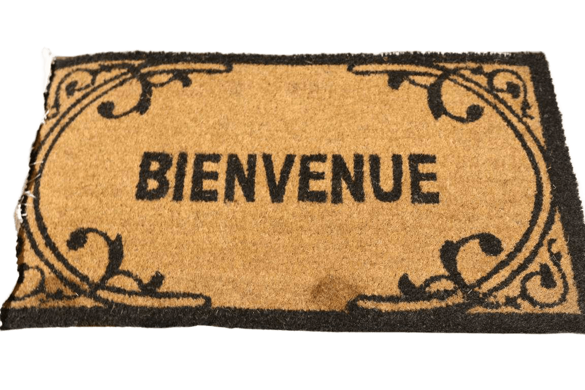 Doormat Vinyl Mat Printed Bienvenue 45x75 1,5