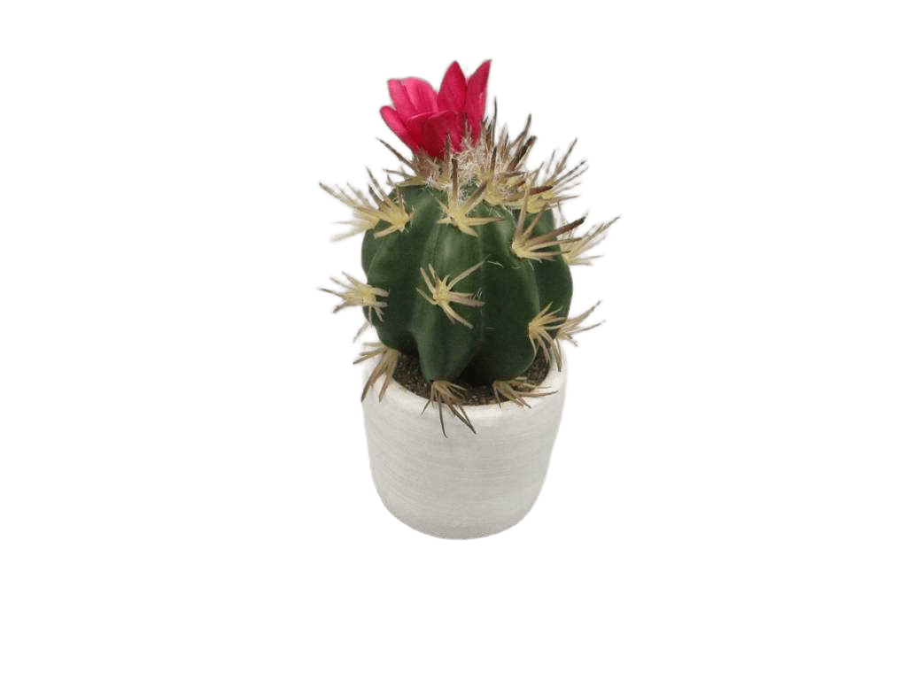 Artificial 15.5cm Mini Cactus In Cement Pot(Pot Size:d7 X H6.5cm)