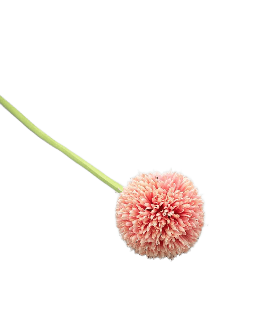 Artificial Daisy Ball Single Middle Pink 70 Cm
