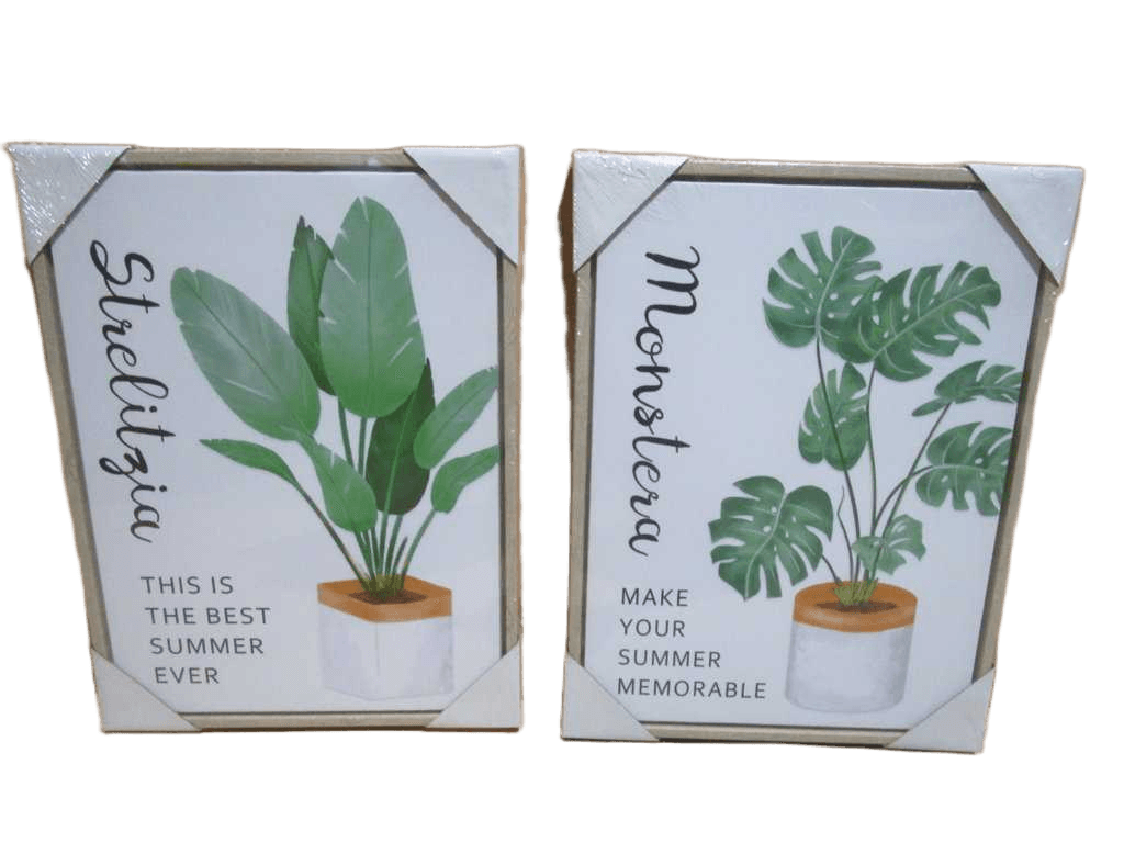 Painting 2 Ass Canvas + Mdf + Ps Frame Xcw218497f-220514+498f-220514