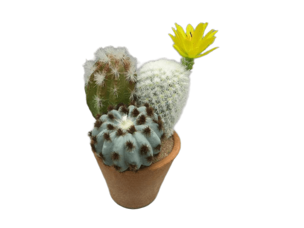 Artificial 19cm Mini Cactus In Terracotta Pot(Pot Size:d10 X H7.6cm)