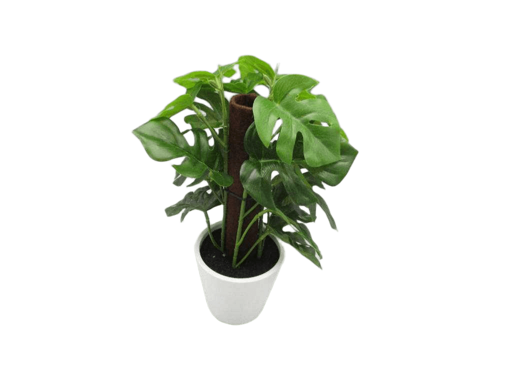Artificial Monstera * 24lvs, In Plastic Pot(Pot:d8 X H7.5cm)