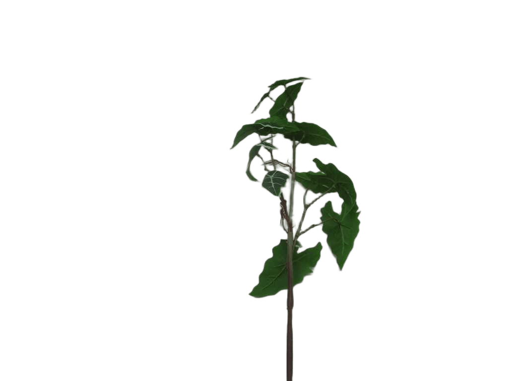 Artificial 85cm Single Real Touch Arrowroot With Roots X 3 Branches